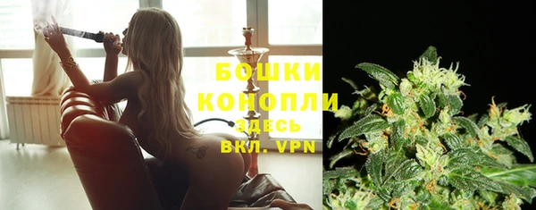 соль ск Белокуриха