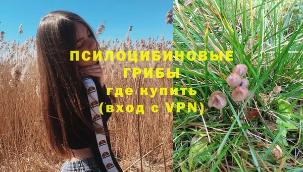 марки nbome Беломорск