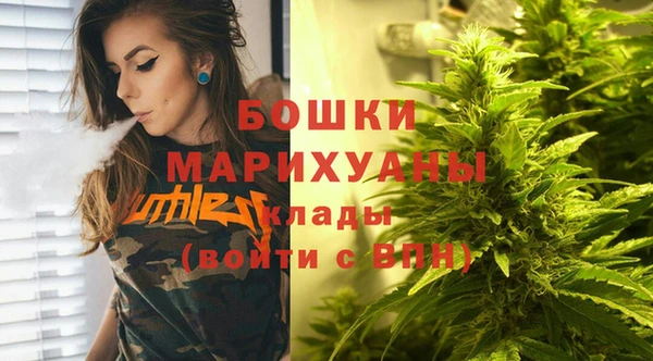 соль ск Белокуриха